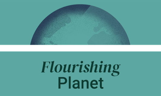 Sustainability_Flourishing-planet_