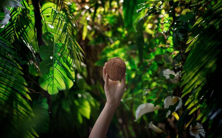 Coconut Project