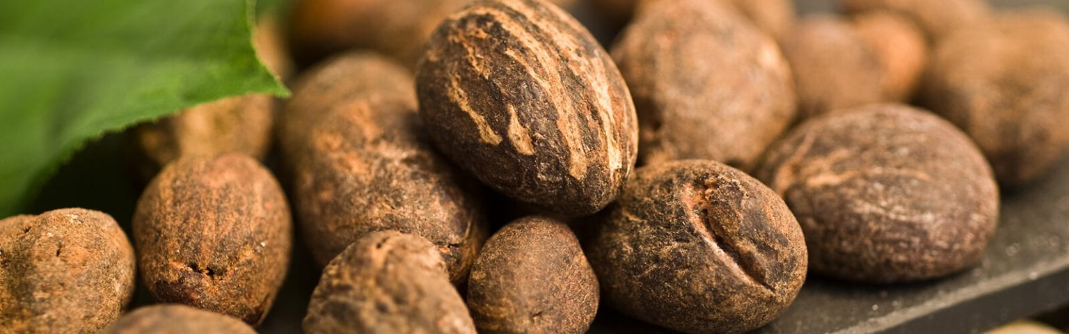 Upfield Joins the Global Shea Alliance